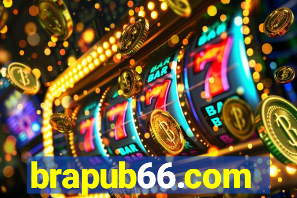 brapub66.com