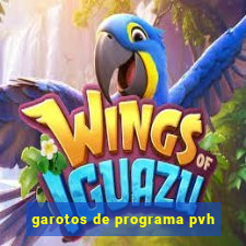 garotos de programa pvh