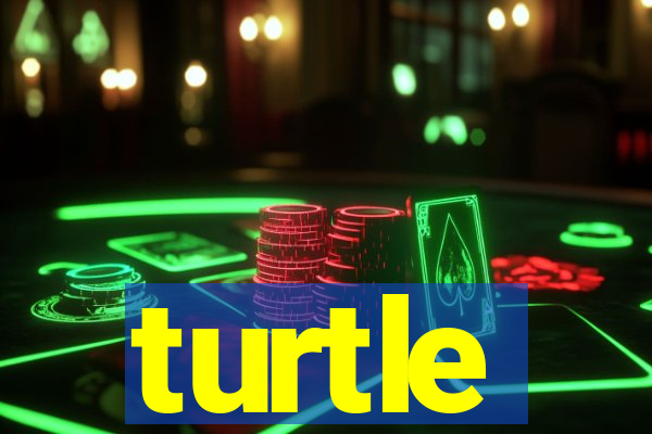 turtle-ty.com